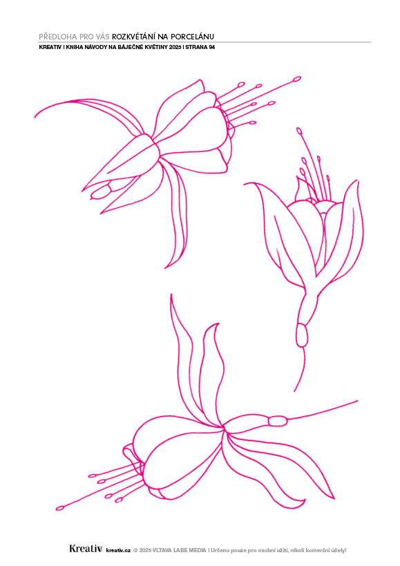 Fuchsie