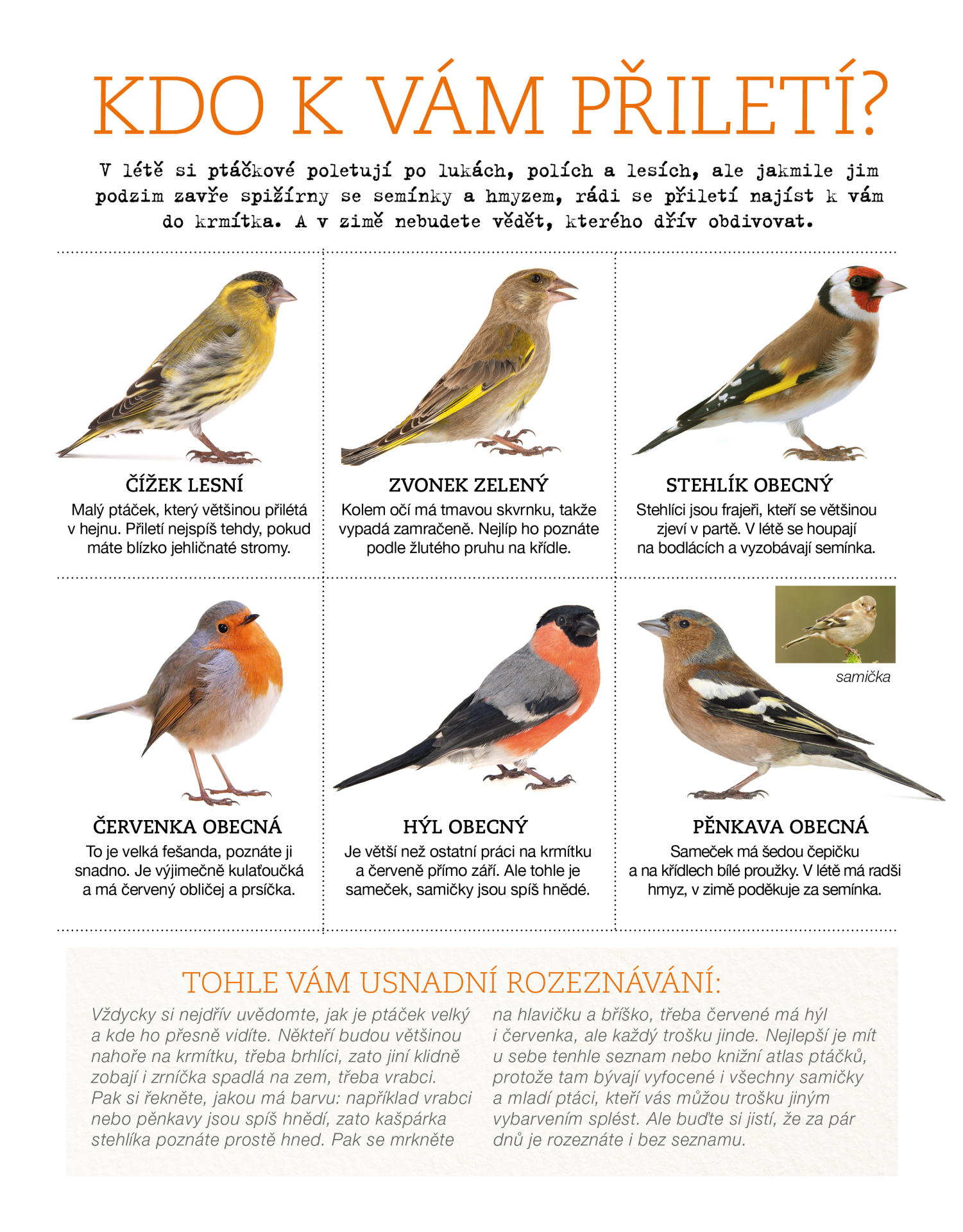 ptaci_xxpdf.jpg