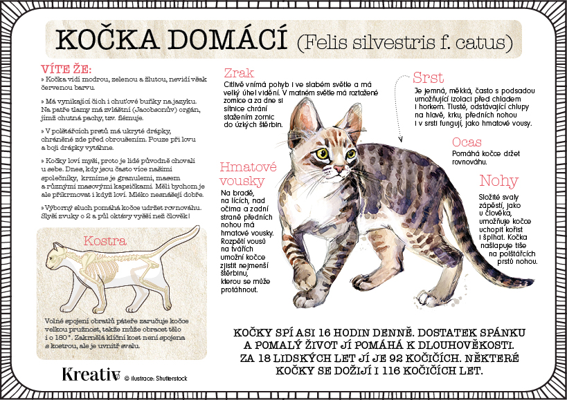 predloha_dokrorska_pohadka_plakaty3.jpg