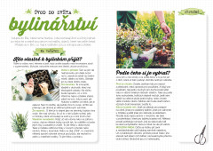 Můj domácí bylinkář (2)
