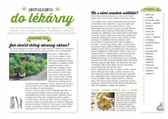 Můj domácí bylinkář (3)