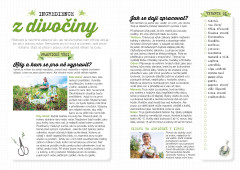 Můj domácí bylinkář (5)