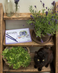 Stolní plánovací kalendář - motiv Levandule (4)