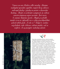 Kniha Gurmet Vánoce (4)