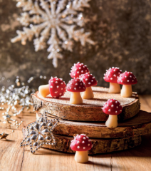 Kniha Gurmet Vánoce (11)