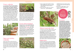 Kniha Receptář — Průvodce zahradou krok za krokem (4)