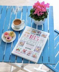 Kniha 185 dezertů (9)