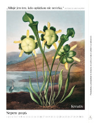 Kreativ 4/2026 (12)