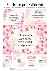 Samolepky motivační (6)